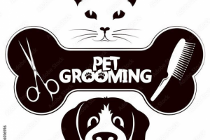 Примеры работы