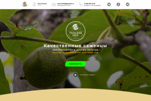Сайт под ключ для: "Тульский Орех"