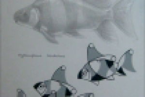 Работа 1417919