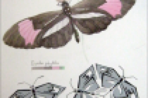 Работа 1417918