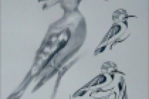 Работа 1417916