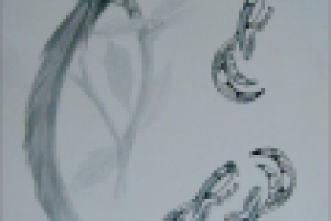 Работа 1417915