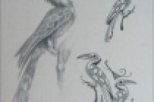 Работа 1417913