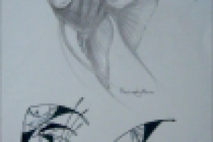 Работа 1417906