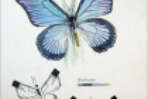 Работа 1417902