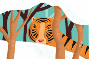 Книжные иллюстрации