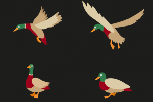 Дизайн паттерна и техническая подготовка к печати