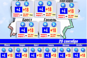 Инфографика для СМИ