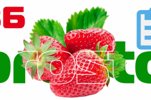 Тестирование