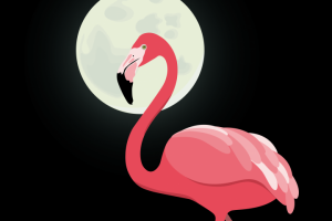 Фламинго