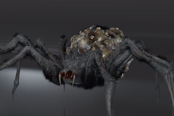 img4480995.png