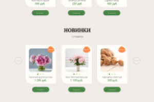 Редизайн интернет-магазина Дарвин