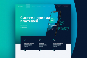 Сайт платежной системы