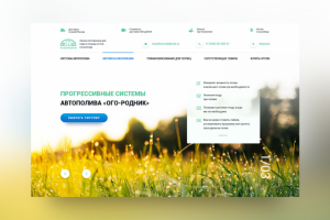 Редизайн корпоративного сайта. Пермь