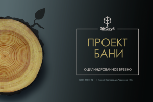 Работа 3800864