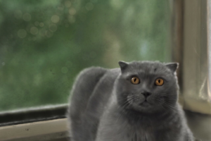 Работа 3804478