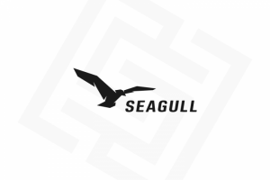 Seagull