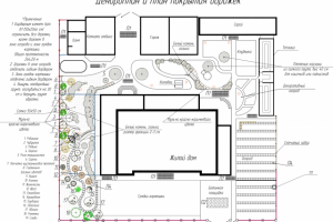 Работа 3421224