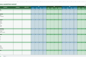 Форма маркетингового планирования бюджета