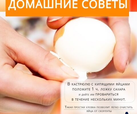 img4447221.png