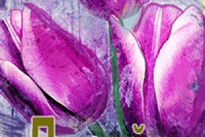 Работа 4058049