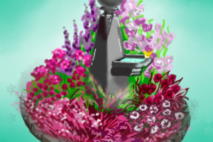 Дизайн-проект цветника