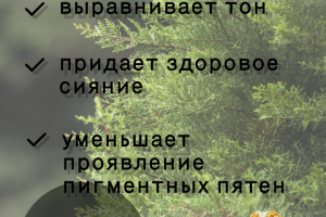 Инфографика для маркетплейсов