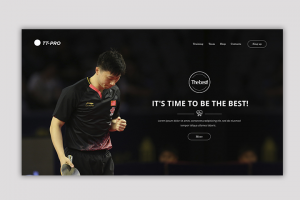 Работа 3694538