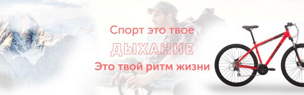 img3748123.png