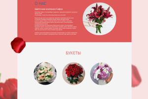 Сайт магазина Safon