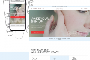 Многостраничный сайт, Вордпресс, BIONICE