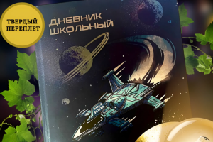 ИНФОГРАФИКА | Школьный дневник