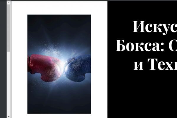 img4561319.png