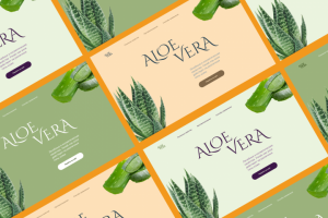 Концепт дизайн