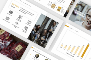 Презентация для инвесторов