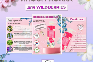 Инфографика для Вайлдберрис