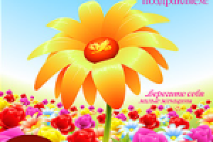 Открытка к 8 марта, Инвестиции и Финансы