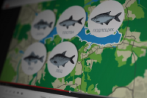 Клязьменское водохранилище. Интересные места Подмосковья.