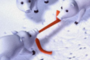 Для открытки "поросята"