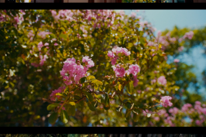 Свадебный reels 2