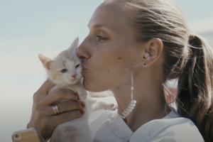 Пикник с котодетками