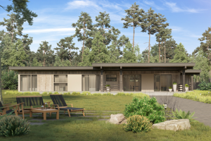 Визуализация современного деревянного дома 2018 г.