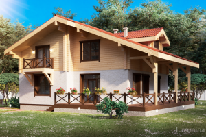 Визуализация комбинированного дома 2017 г.