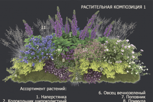 Концептуальный проект парка 2016 г. Композиция растений
