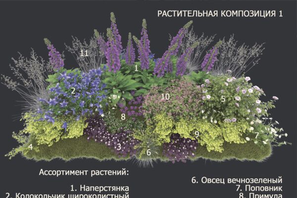 img3762521.png