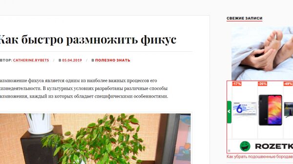 img3796569.png