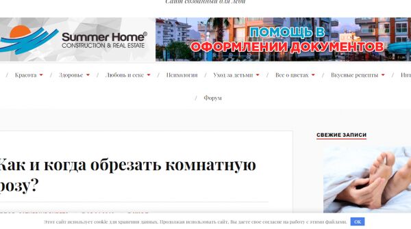 img3796256.png