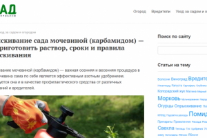 Декоративная краска для стен с эффектом шелка: особенности