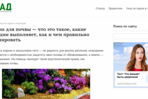 Мульча для почвы — что это такое, какие функции