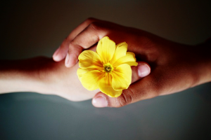 Стоит ли доверять другим людям